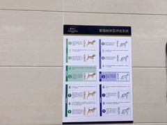 -北京观赏动物医院·24小时大型综合·猫专科·异宠专科