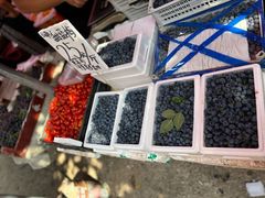 -金宝生活市场(东五环店)