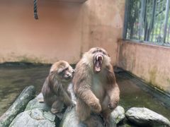 -宁波野生动物园