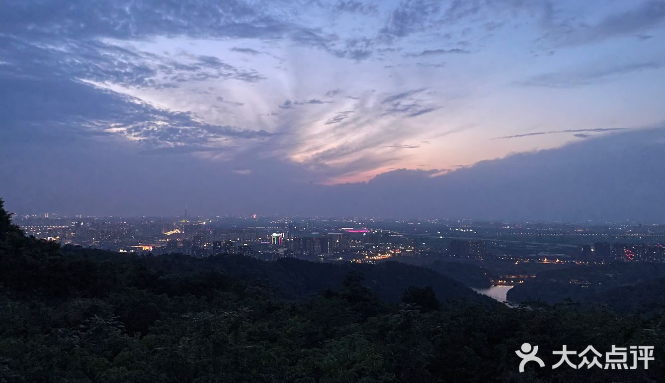 打卡龍泉山夜景