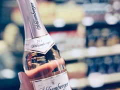 -维也纳国际机场