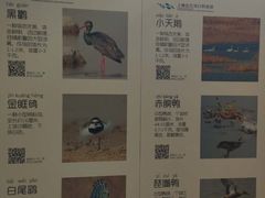 -上海长江河口科技馆