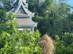 -中国科学院西双版纳热带植物园