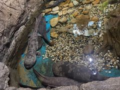 -多彩贵州城极地海洋世界