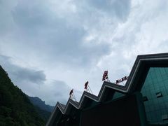 -牛背梁国家森林公园