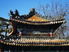 -西安大兴善寺