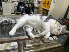 -百金通黄金回收首饰定制维修(珠江路总部)