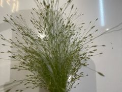 -云季酒店(西关地铁站C2出囗店)