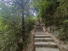 -少华山国家森林公园