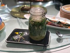 有机豆苗养生菌-东方御花园酒店