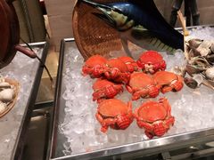 -常州富力喜来登酒店 Feast盛宴标帜西餐厅(新北万达广场店)