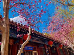 -潭柘寺景区