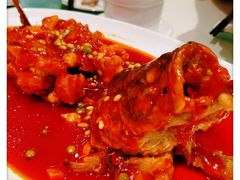 -蝶园·装修中(BFC外滩金融中心店)