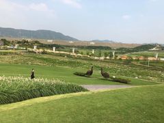 -光明小镇欢乐田园
