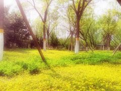 -回龙观体育文化公园