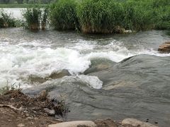 -绿堤公园