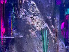-暹罗海洋世界