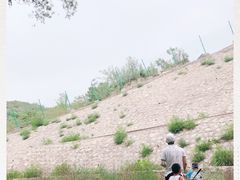 -白水寺森林公园