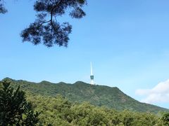 -深圳仙湖植物园