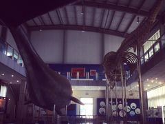 -上海海洋大学鱼文化博物馆(军工路校区)