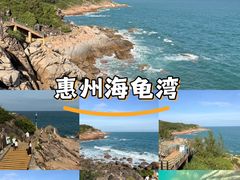 -广东惠东海龟国家级自然保护区