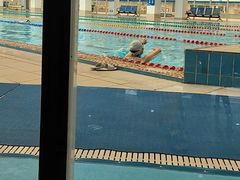 -广西体育中心-游泳馆