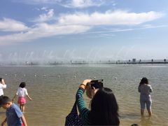 -碧海金沙