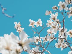 -广州珠江公园