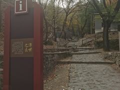 -阳台山自然风景区