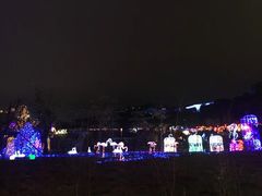 -飞凤山奥体公园
