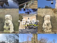 -白水寺森林公园