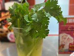 香菜柠檬气泡-Eckl’s爱氏热狗(猫街店)