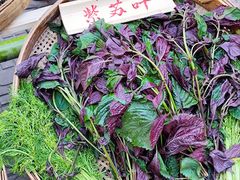 -田园印象·成都土菜院子(华阳店)