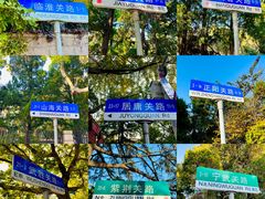 -八大关景区