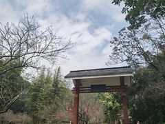 -广州市白云山风景名胜区