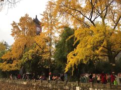 华西钟楼-四川大学(华西校区)