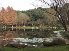 -新洲生态园