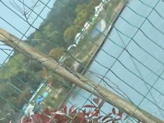 -南京市无想山景区