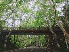 -紫金山天文台