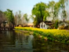 -溱湖国家湿地公园