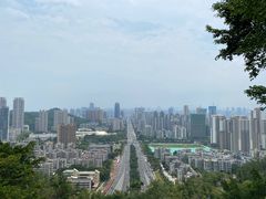 -板樟山森林公园
