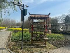 -溱湖国家湿地公园