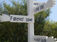 android_upload_pic-沈阳植物园