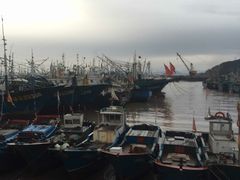 -沈家门海鲜夜排档(东港店)