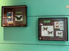 -上海昆虫博物馆