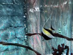 -沈阳海洋探索中心