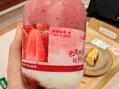 -森茶(湛江万达店)