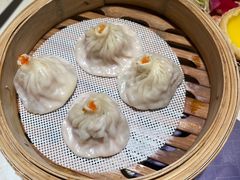 -点都德·毕德寮