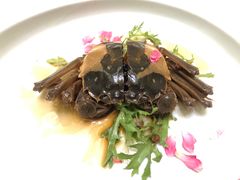 -新光酒家·河豚·海鲜·蟹料理(浦东店)
