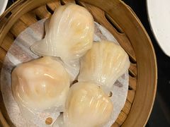 -高第街56号餐厅(凯德mall新都心店)